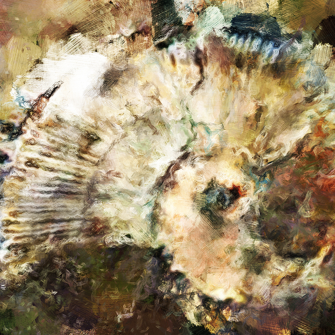 Detail view of Ammonite (Artis Wall)