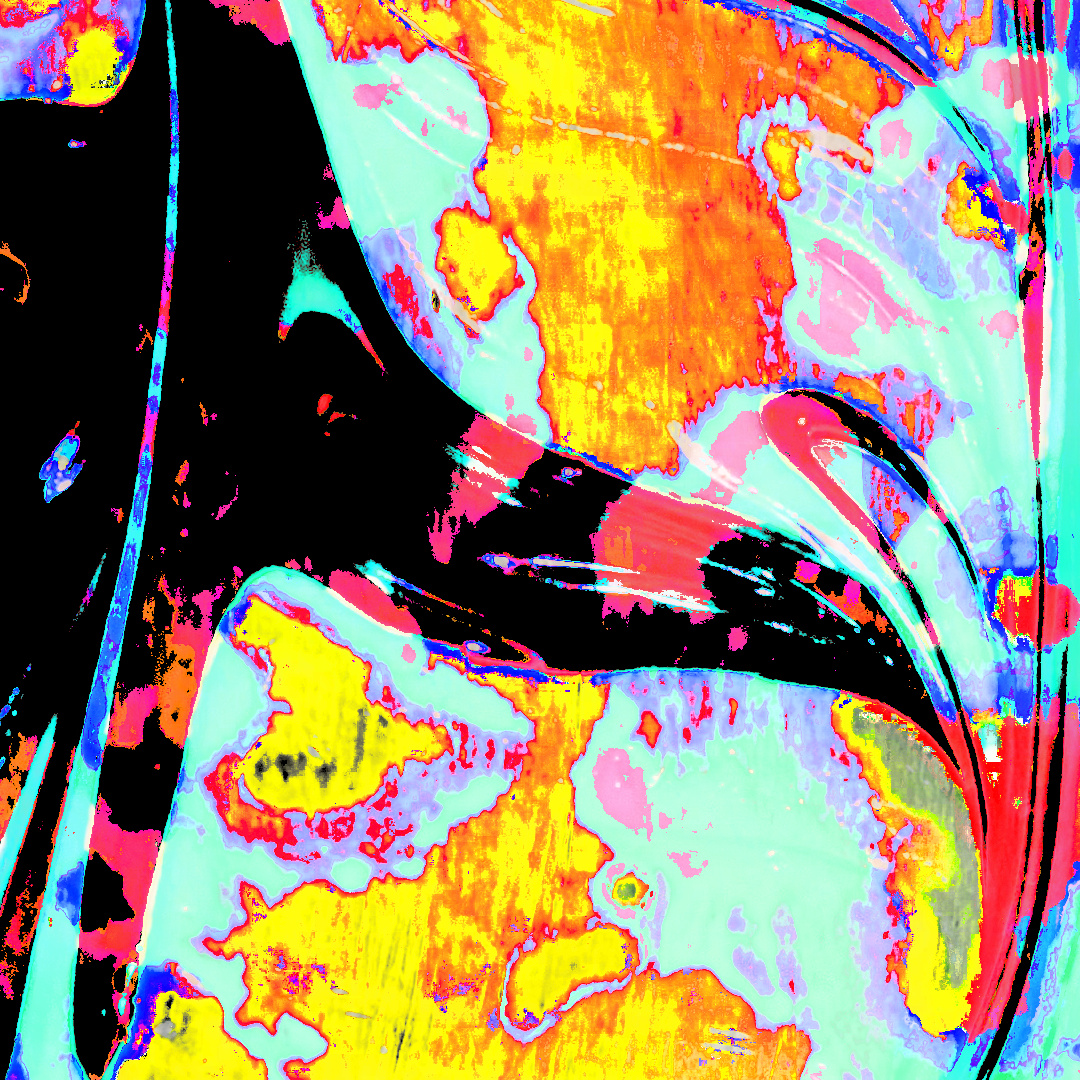 Detail view of Bird of Paradise