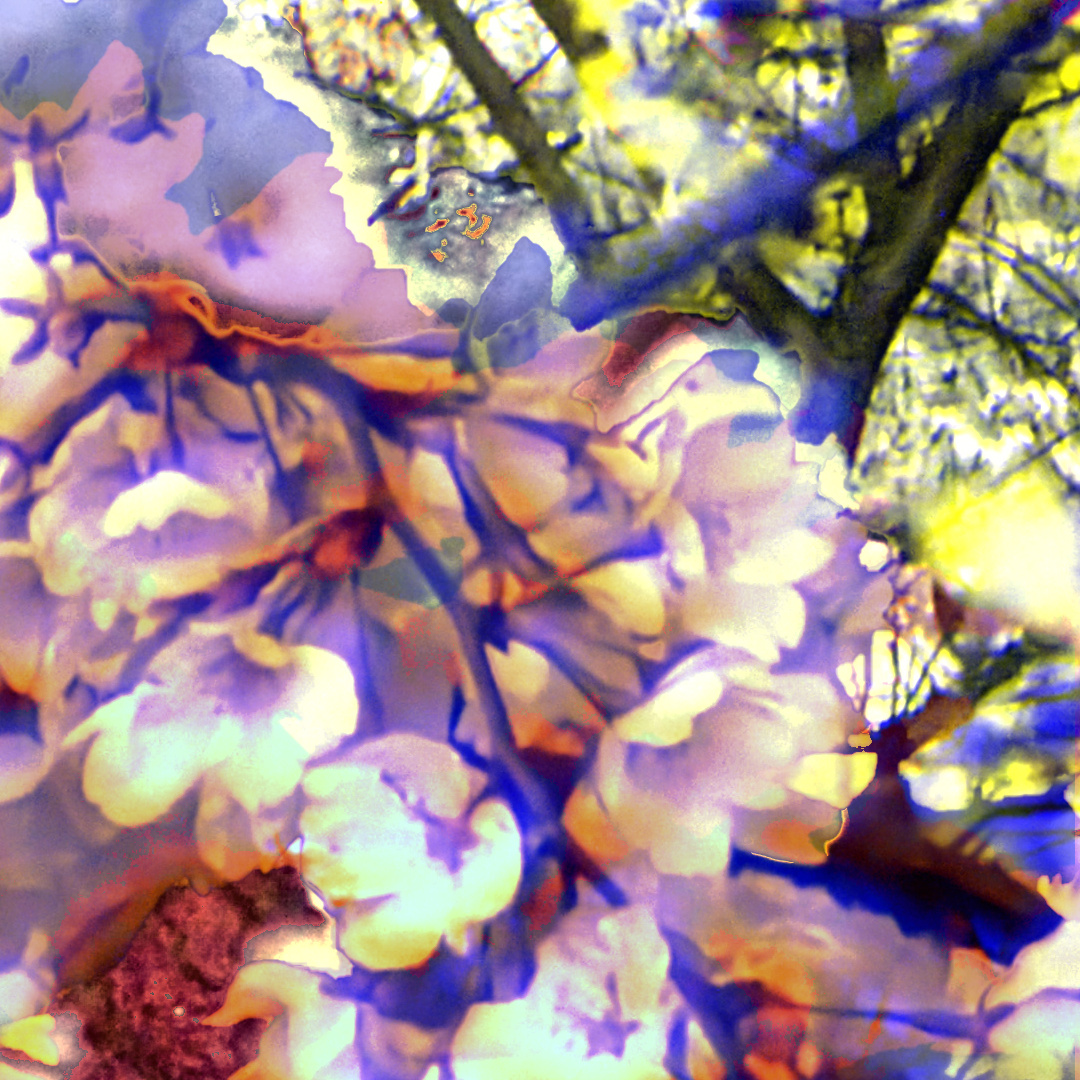 Detail view of cherry moon mk ii