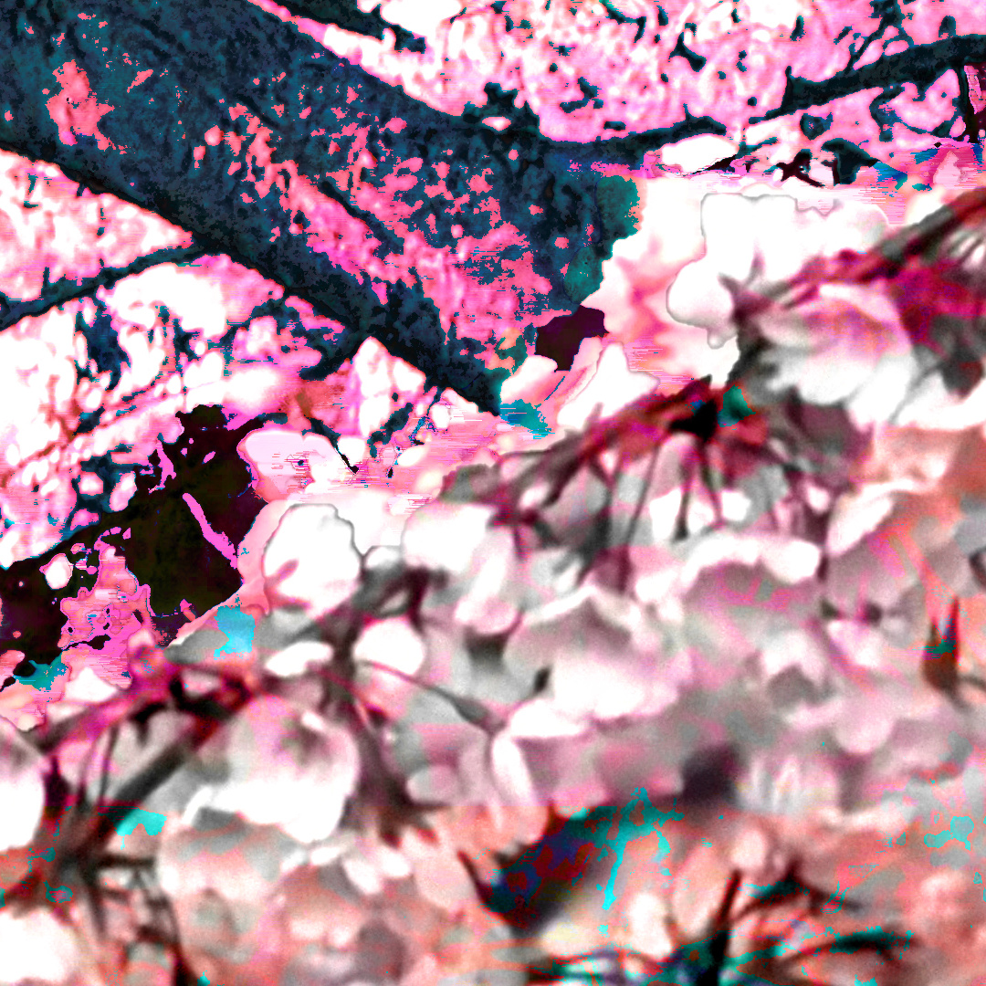 Detail view of cherry moon mk iii