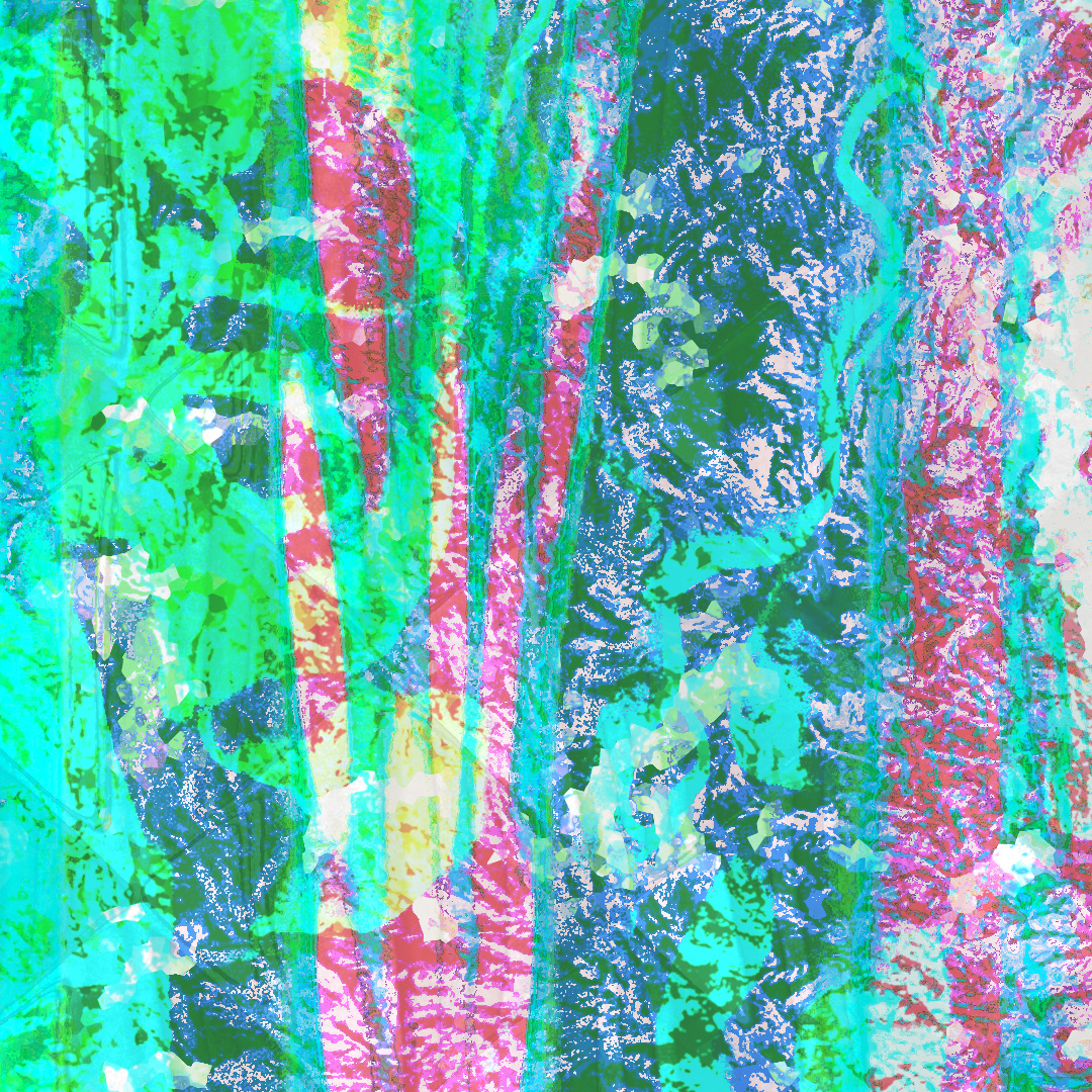 Detail view of Leo The First