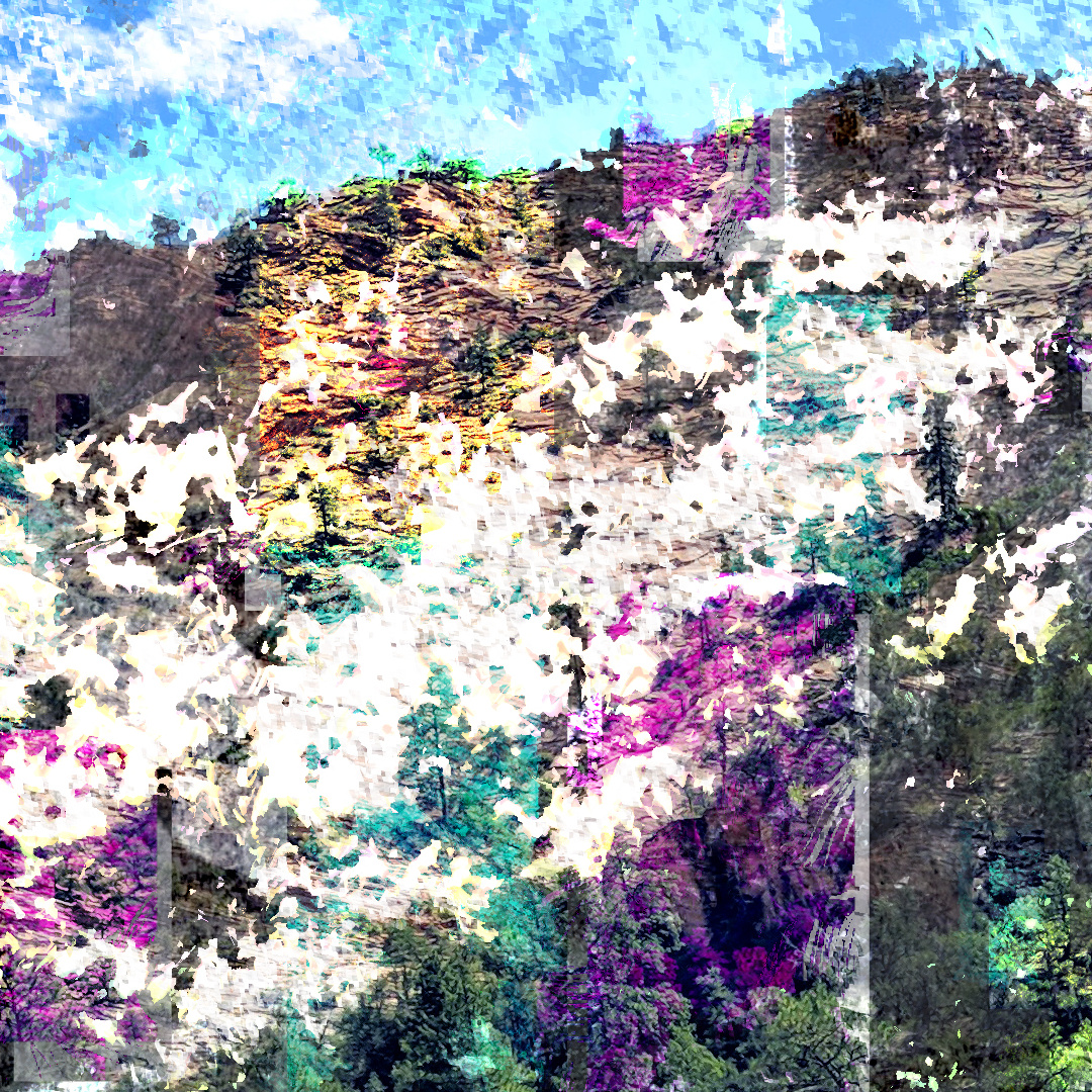 Detail view of scrub 0