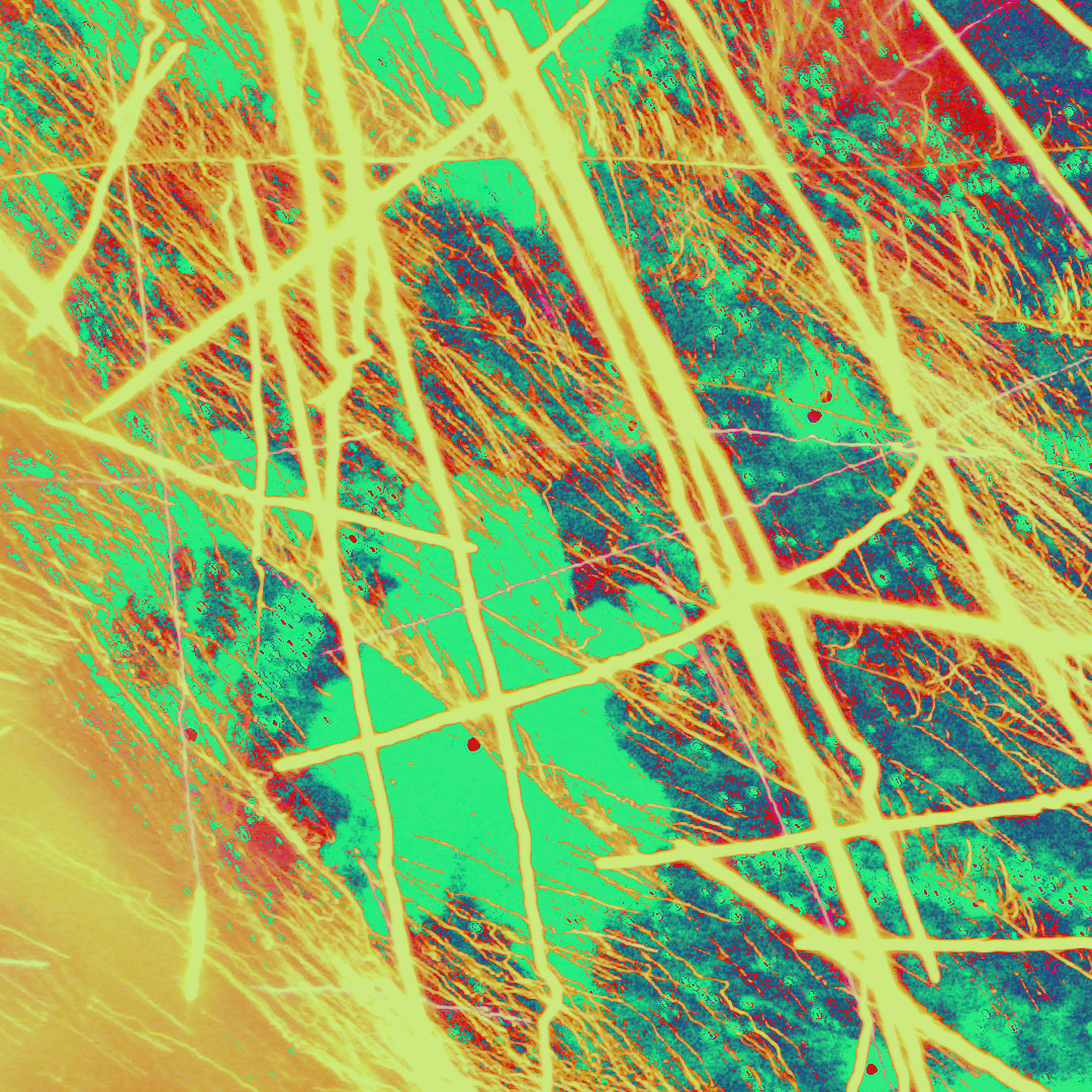 Detail view of Unfiltered Fireworks