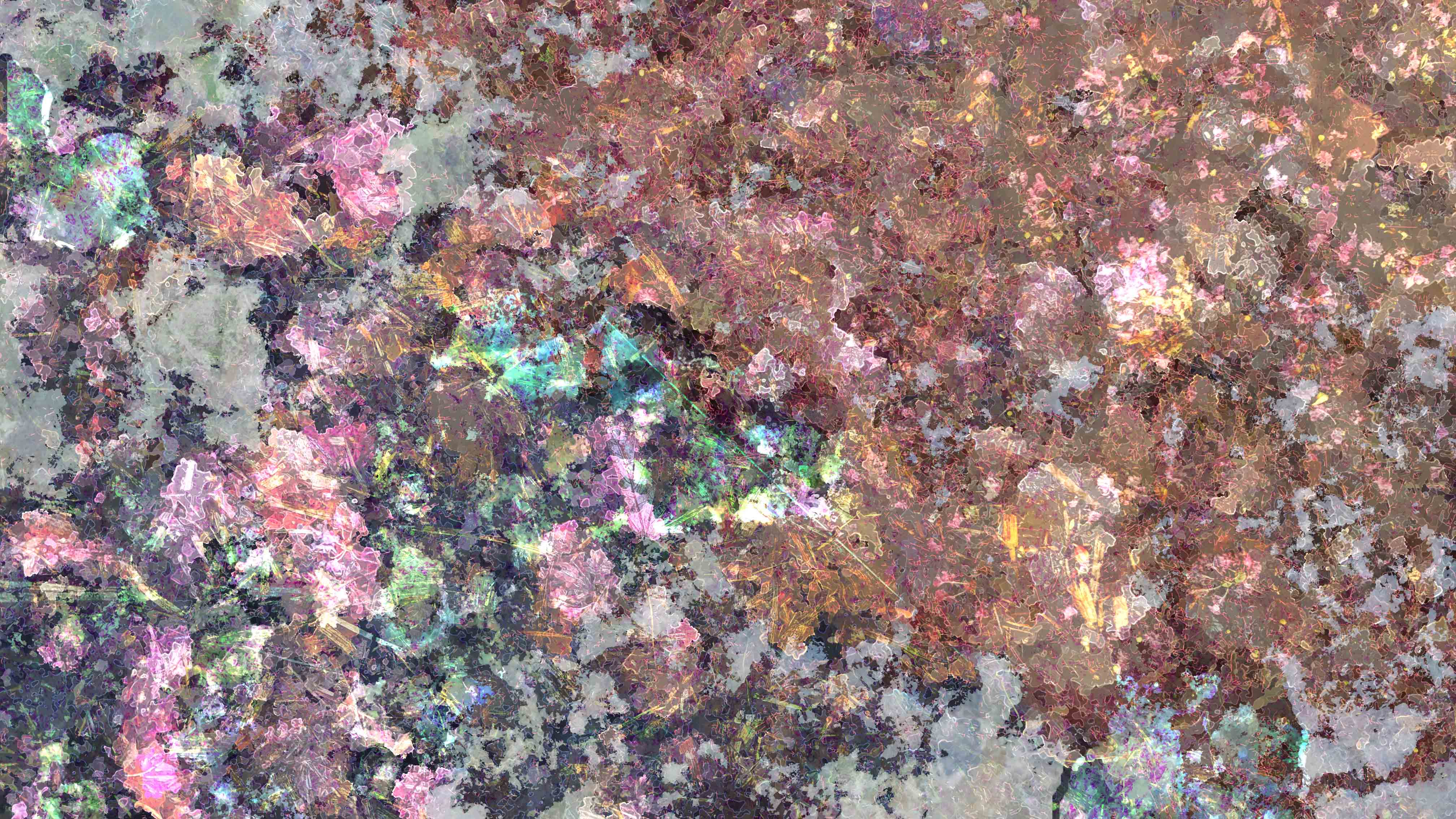 a stylized photograph of a dividing line in a garden