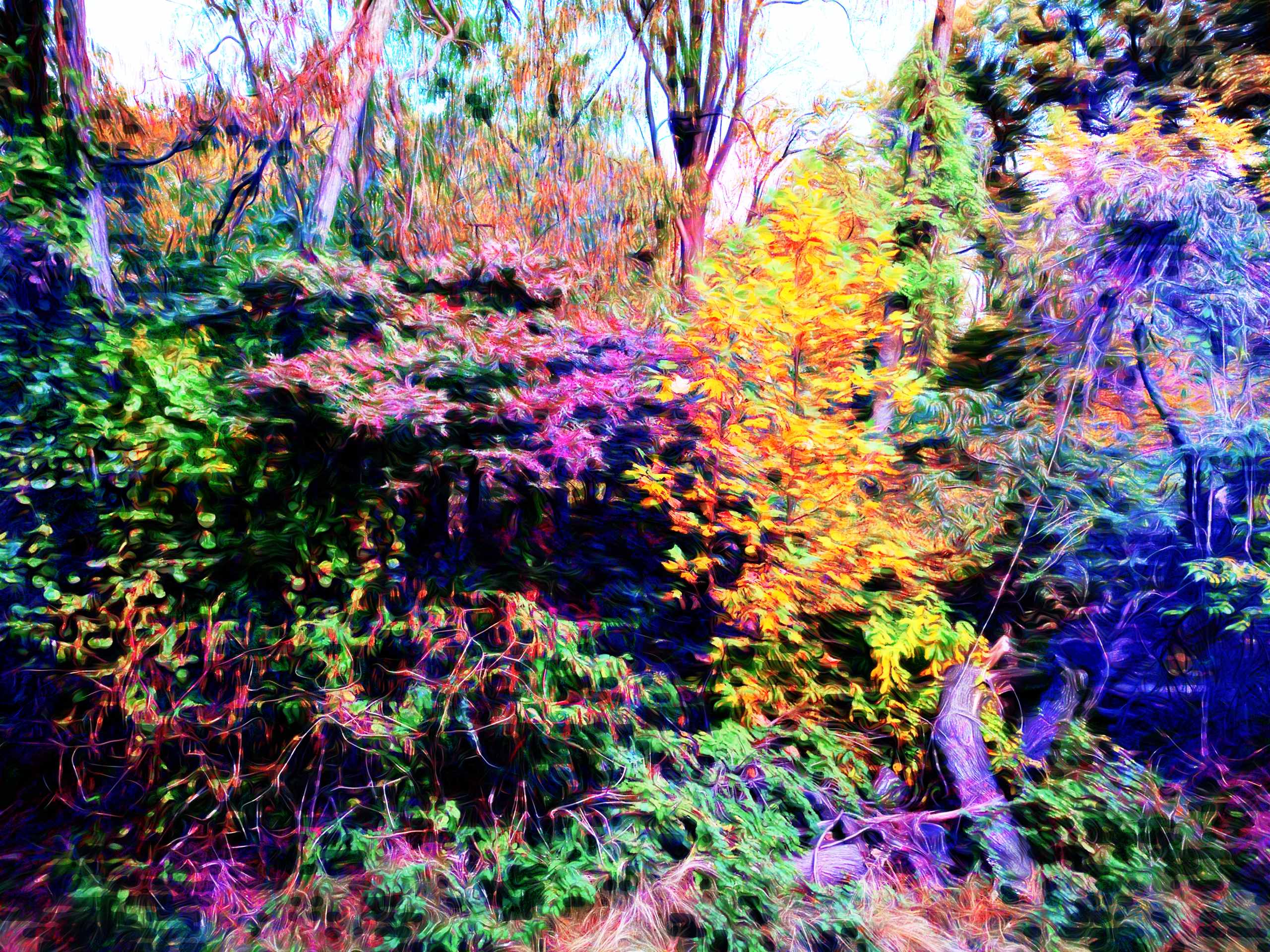 A scene from a parkway drive enhanced to show more light than ever before