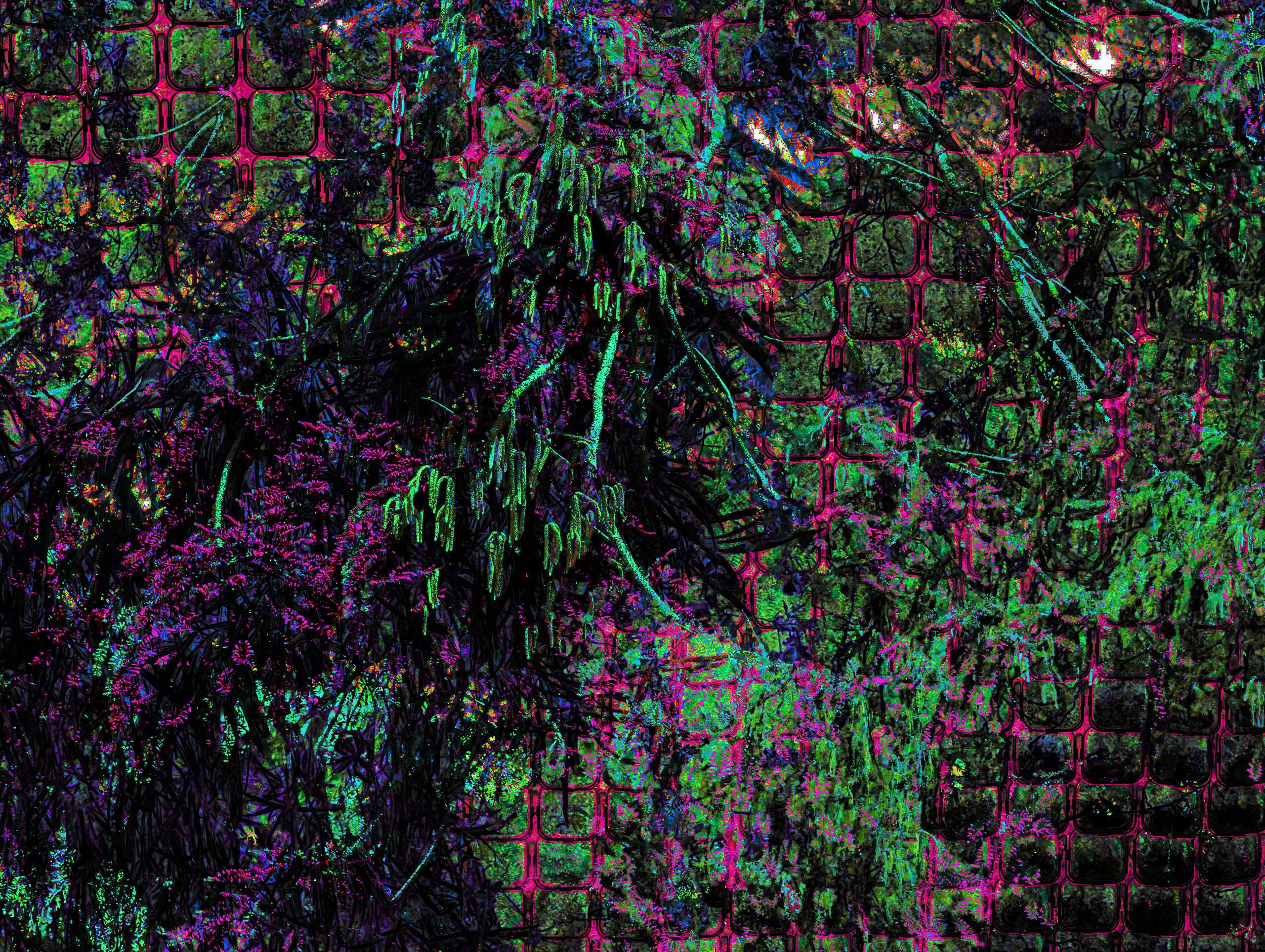 small plants grow in a vertical space against a wall, contrasted against a massive tree