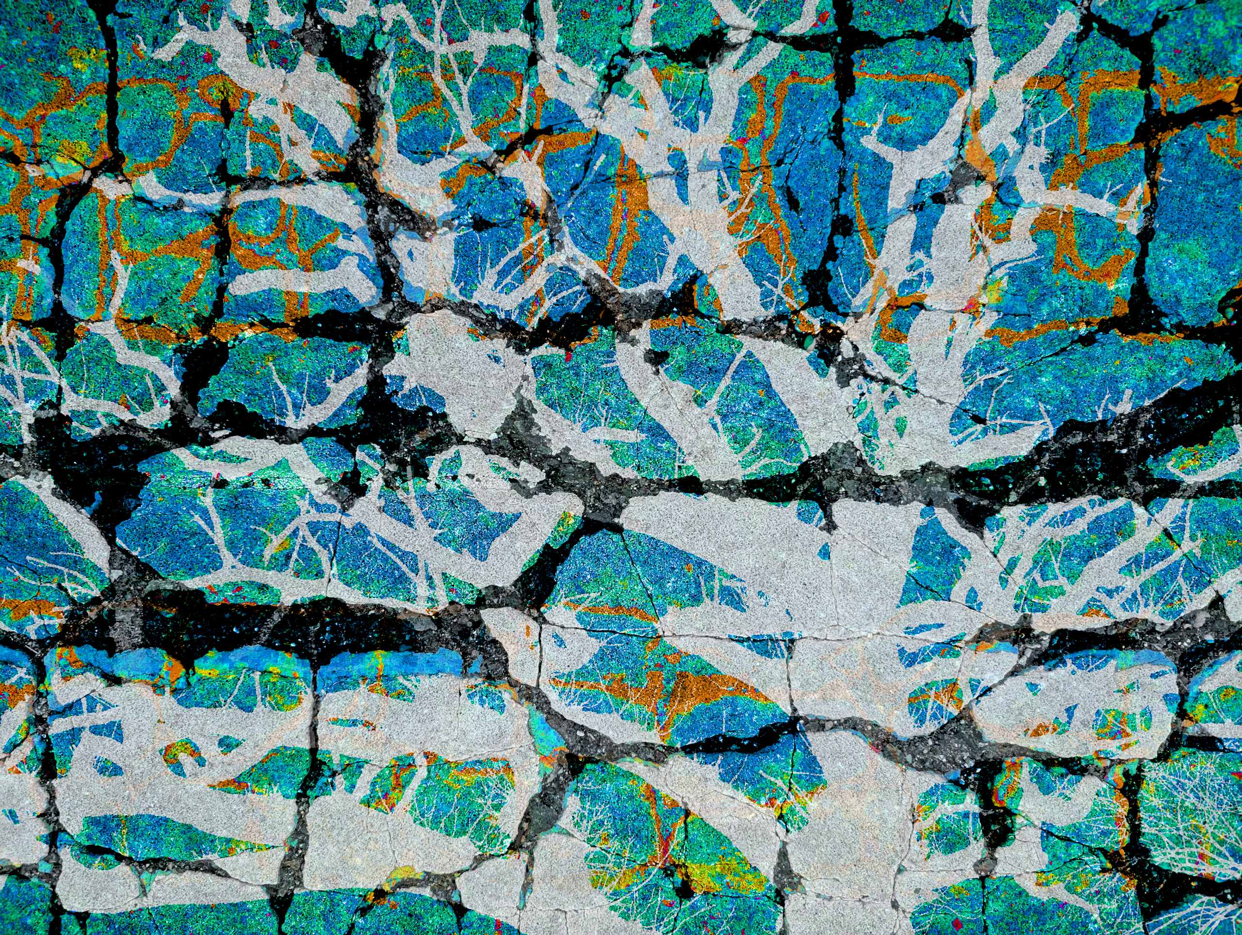 The Hidden Talents of Trees