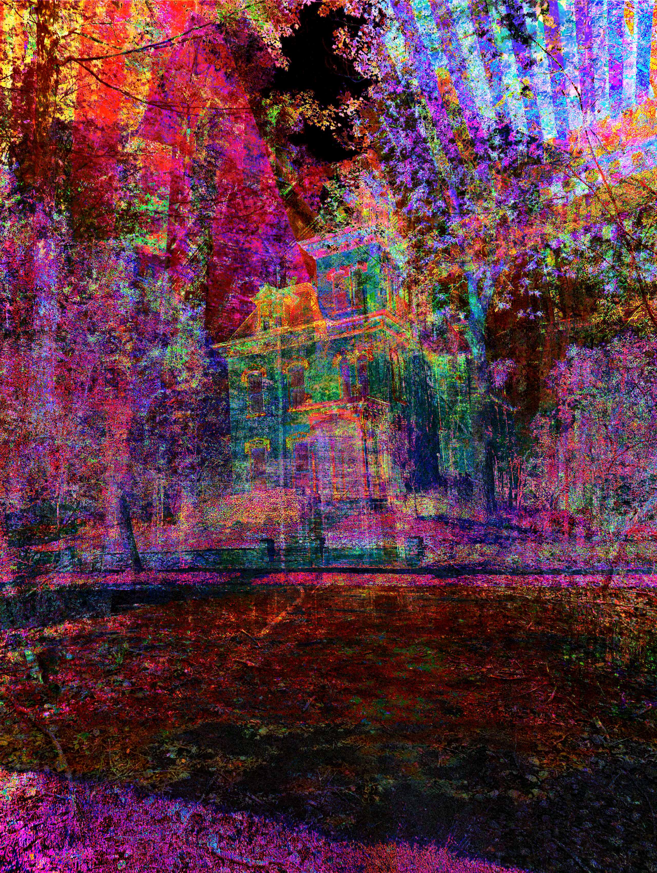 Abstract fusion of Rochester’s Victorian architecture, forest paths, and neon digital textures