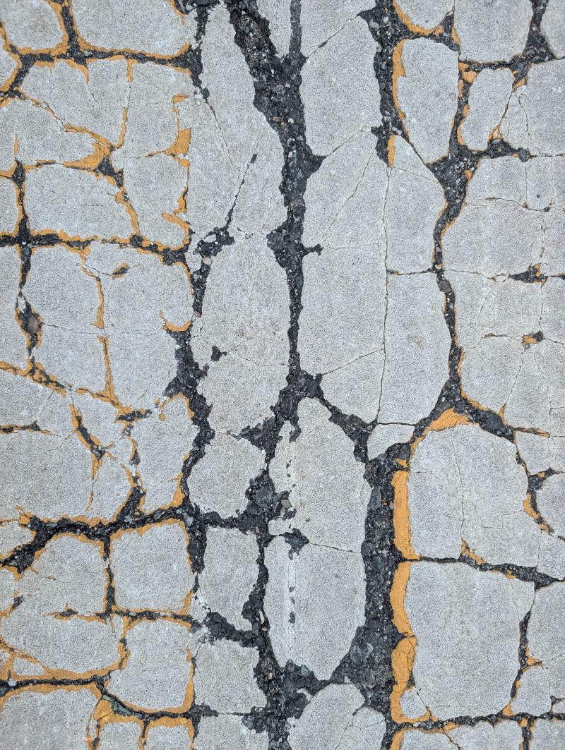 Source texture for The Hidden Talents of Trees