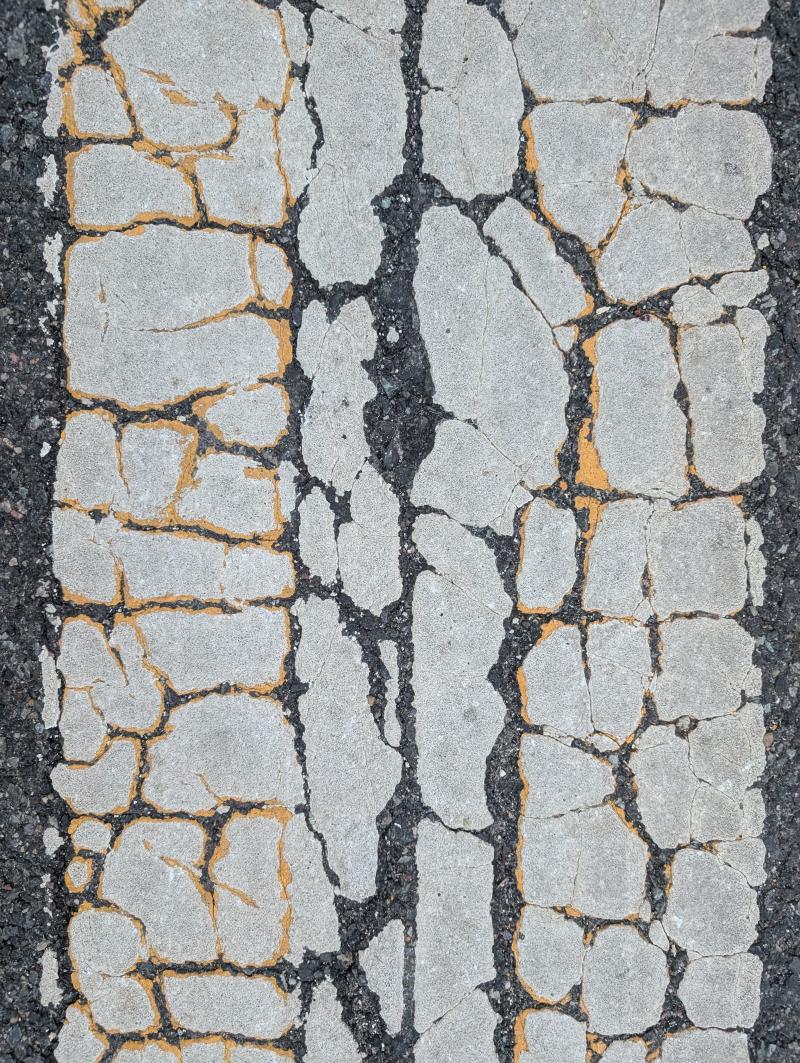 Source texture for The Hidden Talents of Trees