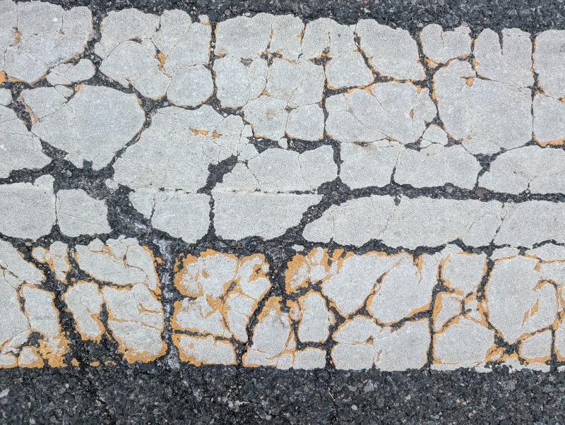 Source texture for The Hidden Talents of Trees