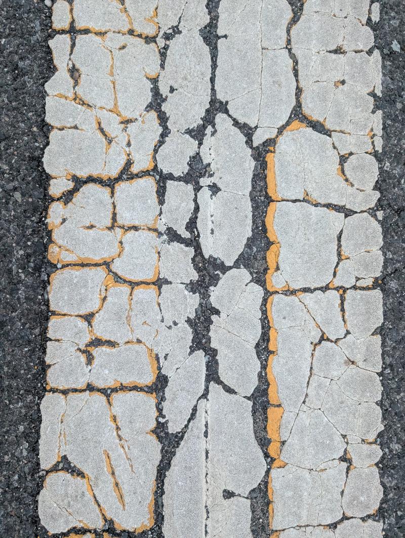 Source texture for The Hidden Talents of Trees