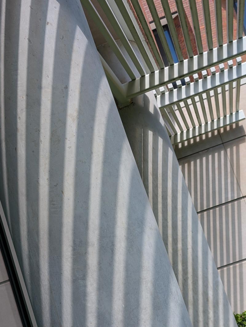 Source texture for The Ward Looks Up
