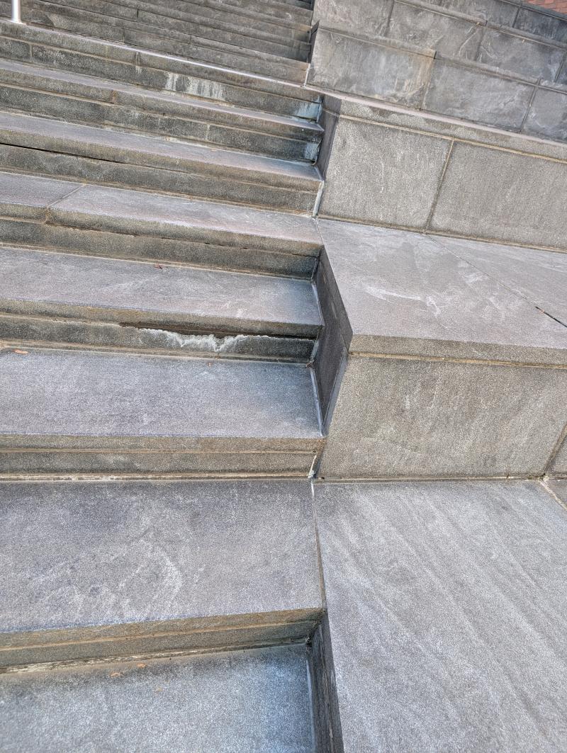 Source texture for The Ward Looks Up