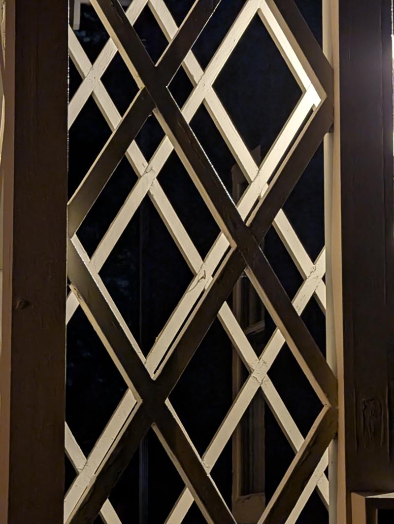 Source texture for The Ward Looks Up