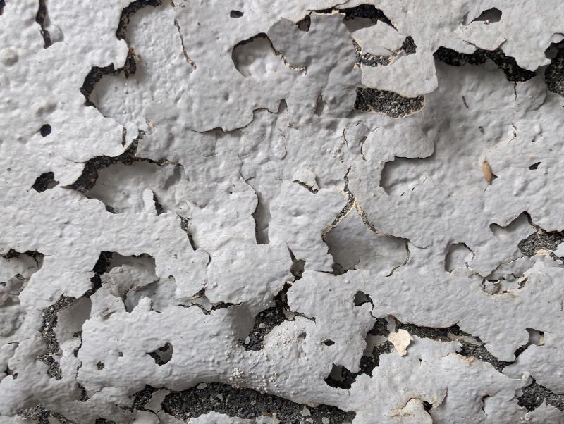Source texture for Canonical Geometry