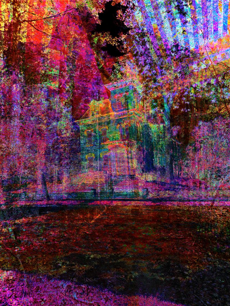 Abstract fusion of Rochester’s Victorian architecture, forest paths, and neon digital textures
